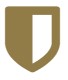 ícone de um escudo metade preenchido com cor, metade branco